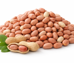 RRRExport-ground-nut