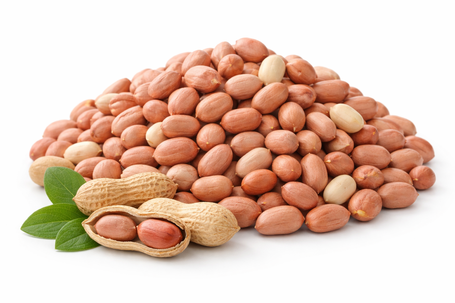 Premium Ground Nut (Raw Peanuts)
